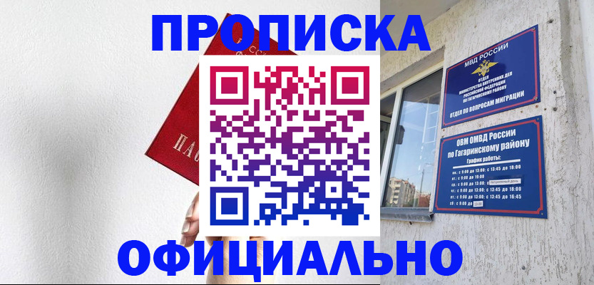 найти адрес прописки в Шали